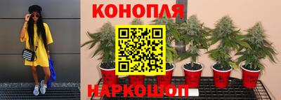 ГАЛЛЮЦИНОГЕННЫЕ ГРИБЫ Дубна