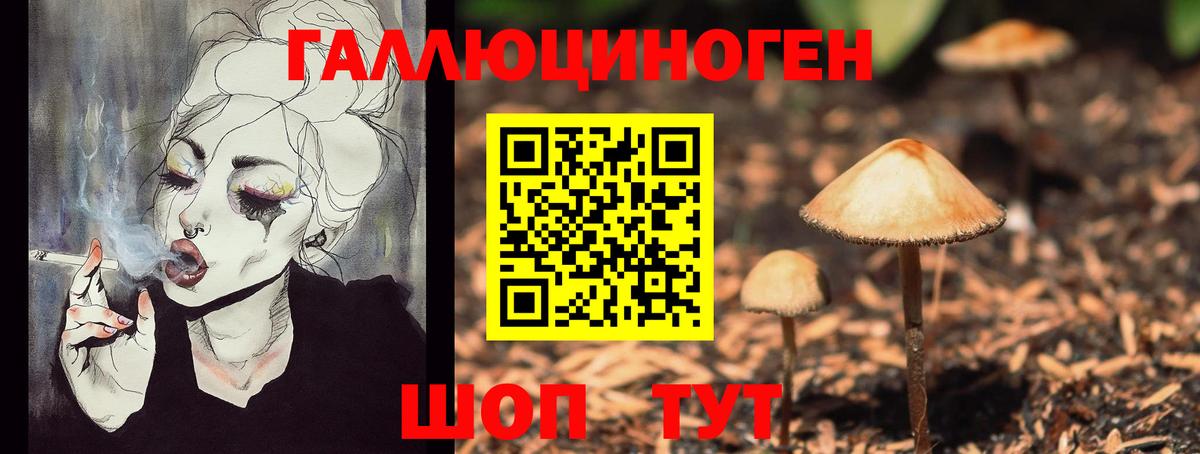 Псилоцибиновые грибы ЛСД  Вход с VPN  Псилоцибиновые грибы ЛСД  Елец 