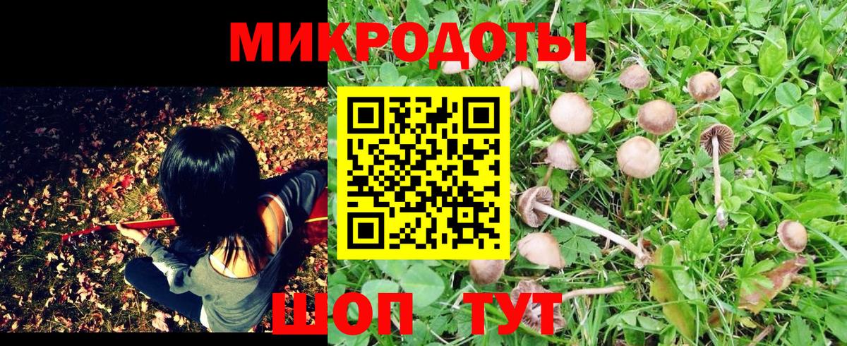 Псилоцибиновые грибы Magic Shrooms Елец
